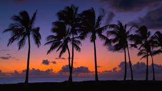 HD HAWAII BEACHES 1 DVD   #1 RELAXATION Ocean Nature Sounds for 