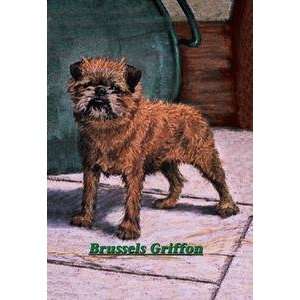  Vintage Art Typical Brussels Griffon Champion   04394 6 