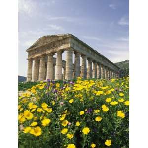  Roman Style Ruins in Spanish Countryside with Wildflowers 