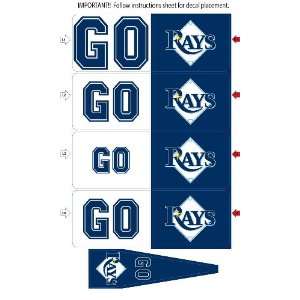   Tampa Bay Devil Rays Animated 3 D Auto Spin Flags