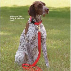  Dura Ruff Dog Collars and Leads Traditional Double Ply Buckle Collar 