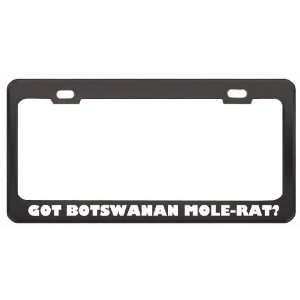 Got Botswanan Mole Rat? Animals Pets Black Metal License Plate Frame 