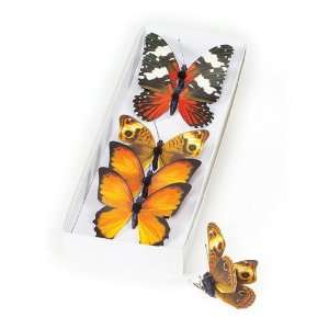   Decorative Orange/Black Butterfly Ornament Clips