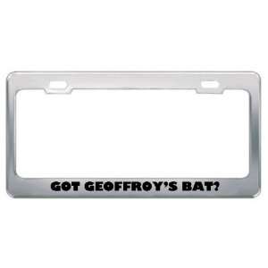  Got GeoffroyS Bat? Animals Pets Metal License Plate Frame 