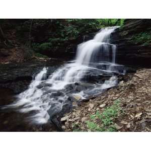  Waterfall, Ricketts Glen State Park, Pennsylvania, United 
