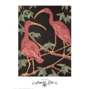  Scarlet Ibis 2 Dan Goad. 19.00 inches by 27.00 inches 
