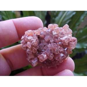  A5010 Gemqz Brown Aragonite Cross Crystals Morocco 