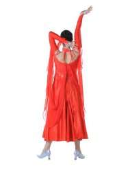 Colorfulworldstore Ladies Ballroom Modern Waltz Tango Dance Dress Over 