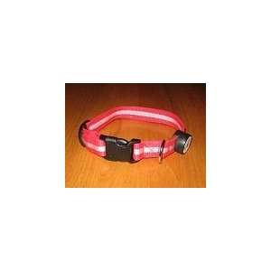  Dogs in Play Red Multi Function LED Lighted Dog Collar 