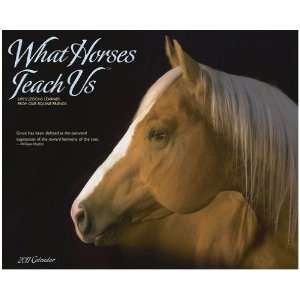  What Horses Teach Us 2011 Wall Calendar By Willow Creek 