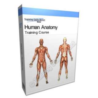 Human Anatomy Skeletal Muscular System Training Manual  