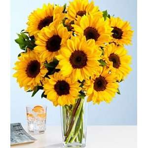  Ten Sunny Sympathy Fresh Sunflower Bouquet Patio, Lawn 