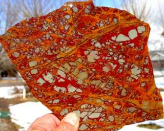 NOREENA JASPER, AUSTRALIA,Cab,Specimen,gem,305 gram SLAB  