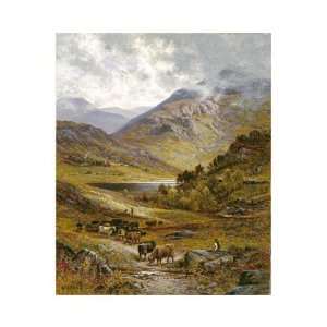 Longhorn Cattle by Alfred Augustus Glendening. size 17 inches width 