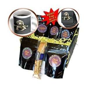 Dogs Weimaraner   Weimaraner Puppy   Coffee Gift Baskets   Coffee Gift 