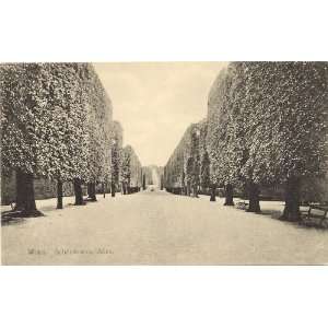 1910 Vintage Postcard Gardens of Schonbrunn Palace   Vienna Austria