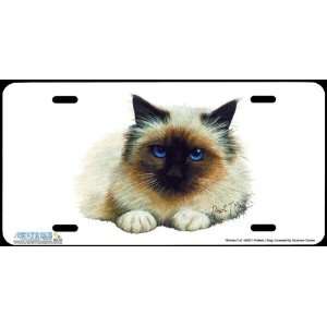 4257 Birman Cat License Plate Car Auto Novelty Front Tag by Robert J 