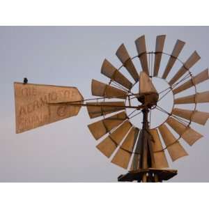 Bird Perches on a Windmill at the Historical Stevens Creek Farm 