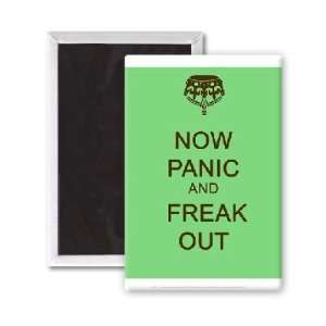  Now Panic and Freak Out   3x2 inch Fridge Magnet   large 