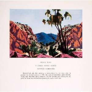   Range Gorge Landscape Australia   Original Color Print