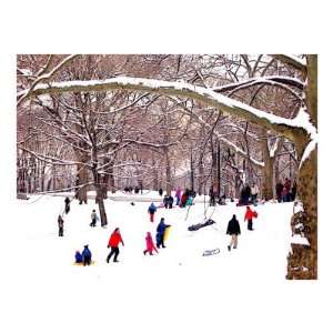 Snow Sledding in Central Park Giclee Poster Print by New Yorkled 