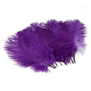 10pcs Home Decor Purple Ostrich Feathers Purple 