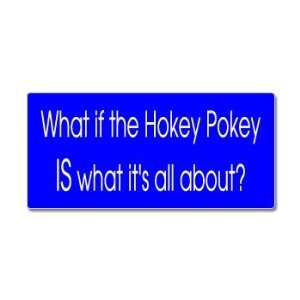  What If The Hokey Pokey IS What Its All About   Window 