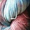 Araucania Ranco Multi Yarn Great for socks Shade 304