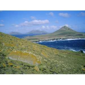 Jason, One of the More Remote Islands, Falkland Islands, South America 