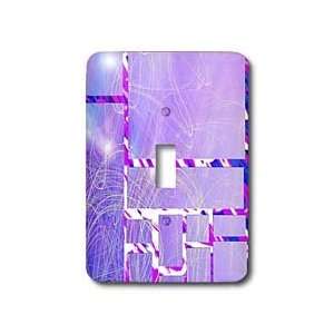   drawn lines and cage in front   Light Switch Covers   single toggle