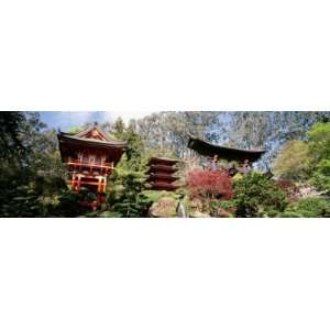 Japanese Tea Garden, Golden Gate Park, San Francisco California, USA 