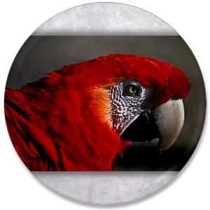  3.5 Button Scarlet Macaw   Bird 