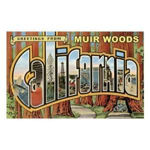  Greetings from Muir Woods, California Premium Poster Print 