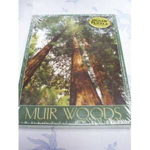  Muir Woods National Monument 18 x 24 500 Piece Puzzle 