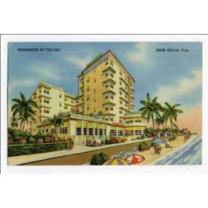    Reprint Broadmoor by the sea, Miami Beach, Florida