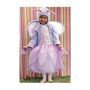  Babystyle Baby Style Butterfly Costume 2 4T Everything 