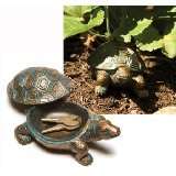 TURTLE KEYHOLDER  