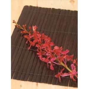  Bamboo Slat Placemat   Black