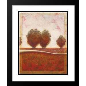 Osborne Framed and Double Matted 20x23 Morning Mist Rising II Mini