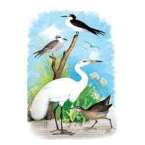 Vintage Art Great White Egret (White Heron)   03837 3 