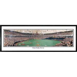 Rob Arra Baseball Framed Stadium Panoramic of Minnesota Twins Homer 