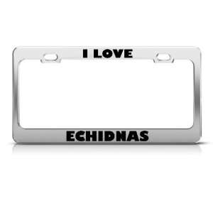  I Love Echidnas Echidna Animal Metal license plate frame 