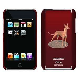  Pharaoh Hound on iPod Touch 2G 3G CoZip Case Electronics
