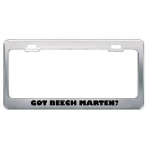 Got Beech Marten? Animals Pets Metal License Plate Frame Holder Border 