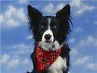 border collie bandit dog mouse pad coaster new made in