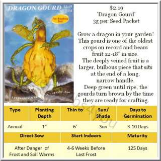 dragon gourd is