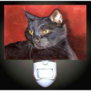    Domestic Black Cat Decorative Night Light
