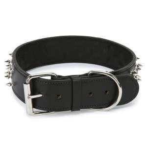 CASUAL CANINE DELUXE SPIKED LEATHER DOG COLLAR 2 WIDE  