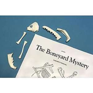 The Boneyard Mystery Kit  Industrial & Scientific
