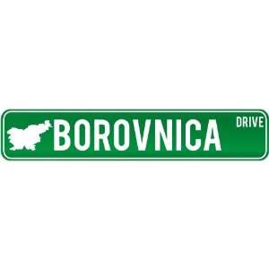  New  Borovnica Drive   Sign / Signs  Slovenia Street 
